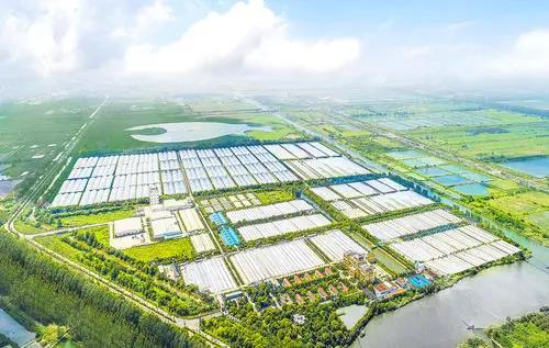 1638519565296159.jpg WeChat Image_20211203161914.jpg