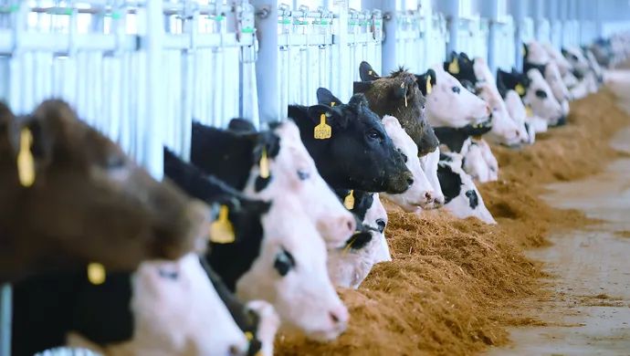 1685948276567146.jpg 640 (7).jpg