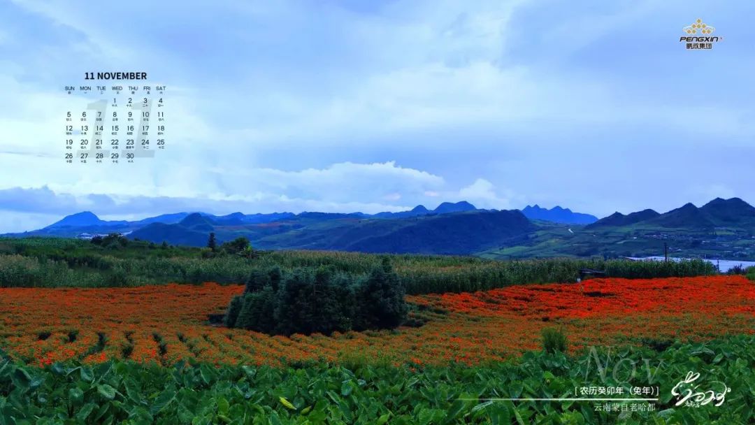 1696666455579939.jpg 1696666455579939.jpg